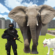 Programikonen: Elephant City Attack Simu…