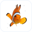 Clown Fish Animated Keyboard  Live Wallpaper