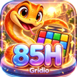 Programikonen: 85HGridio