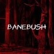 ไอคอนของโปรแกรม: Banebush