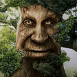 Ícone do programa: Wise Mystical Tree