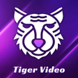 프로그램 아이콘: TigerPlayer-Speed Video P…