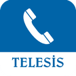 프로그램 아이콘: Telesis SIP VoIP Softphon…