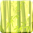 Ikon program: Bamboo Forest Live Wallpa…