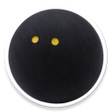 程序图标：Squash Tournament Maker