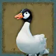 Game of the Goose 3D
