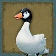 ไอคอนของโปรแกรม: Game of the Goose 3D