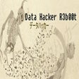 Icoon van programma: Data Hacker: Reboot