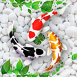Programikonen: Fish Live Wallpaper 3D To…