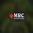 Icon of program: Magic the Gathering Rando…