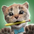 أيقونة البرنامج: Little Kitten  Friends 4