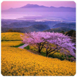 Programikonen: Jigsaw Puzzle World-Free …