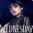 程序图标：Wednesday Addams HD wallp…