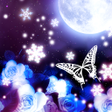 プログラムのアイコン：Winter Fantasy 雪の幻想冬壁紙きせか…