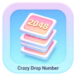 Icon of program: Creazy Drop Number