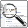 Ikon program: Magnifier