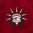 Icoon van programma: NY212