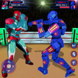 プログラムのアイコン：Real Robot Ring Wrestling…