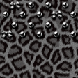 プログラムのアイコン：Silver Leopard for[+]HOME