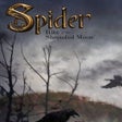Programikonen: Spider: Rite of the Shrou…