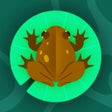 Ikona programu: Twirly Toad