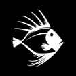 Ikon program: John Dory