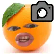 Annoying Fruit Camera
