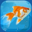 程序图标：AquaLife 3D