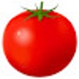 プログラムのアイコン：Pomodoro timer