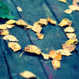 -Fallen in Love- Theme HOME icon