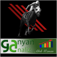 Ikon program: TJK At Yarışı Tahminleri6…