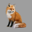 Ikon program: Decoy on fur animals