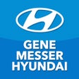 Programın simgesi: Gene Messer Hyundai