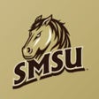 Icoon van programma: SMSU Athletics
