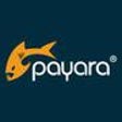 Icon of program: Payara Enterprise