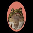 Biểu tượng của chương trình: Social Toad