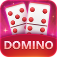 Programikonen: DominoZone