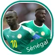 Team of Senegal - wallpaper