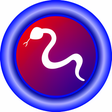Иконка программы: PyIDM