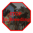 Ícone do programa: INAPH In-Breeding Check