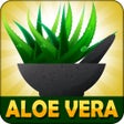 프로그램 아이콘: Aloe Vera Benefits