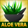Icon of program: Aloe Vera Benefits