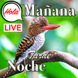 Ikona programu: Spanish Good Morning Afte…