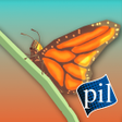 程序图标：PI VR Insects