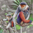Иконка программы: Nature
