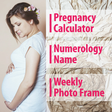 Programikonen: Pregnancy Calculator