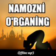 プログラムのアイコン：Namoz Kitobi