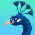 Programikonen: Peacock Darts - Pin the B…
