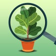 Ícone do programa: PlantIDer - Plant Identif…