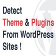 Biểu tượng của chương trình: Detect WordPress themes &…